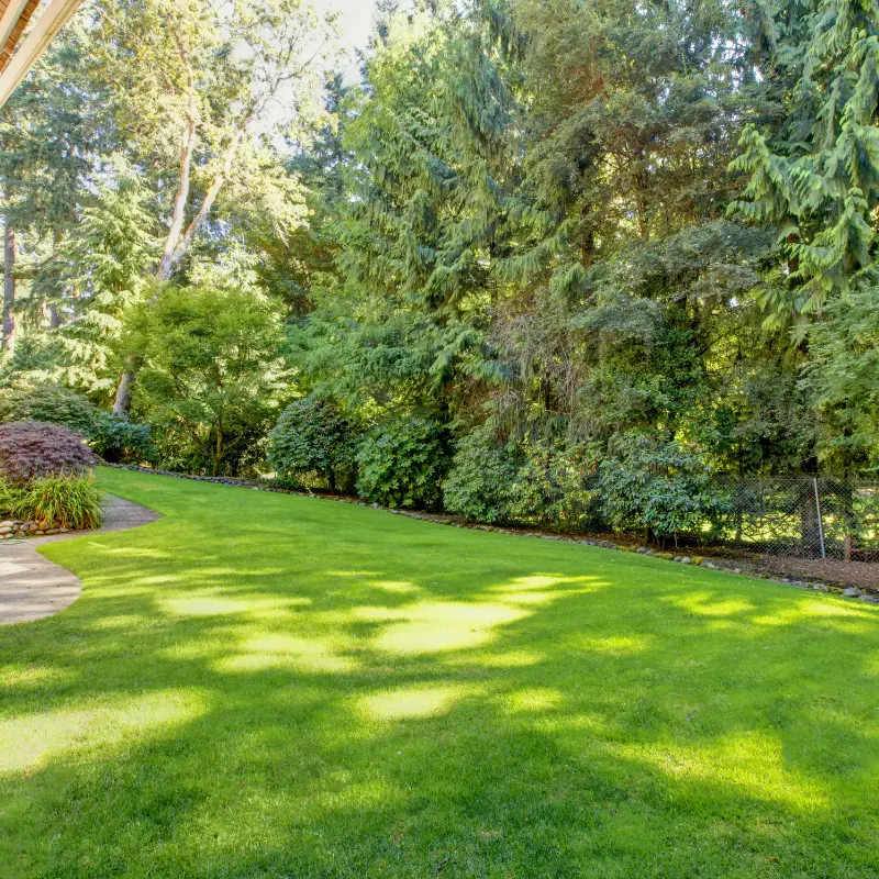 finished-landscaping-backyard-jpg