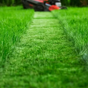 mowing-front-lawn (1)